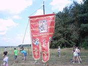 VII  -  
