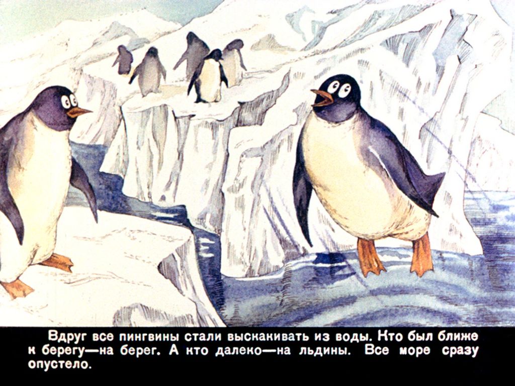 Снегирев рассказы про пингвинов читать. Снегирев про пингвинов иллюстрации. Иллюстрации к рассказам Снегирева про пингвинов. Чтение г. Снегирева про пингвинов. Снегирев про пингвинов читать.