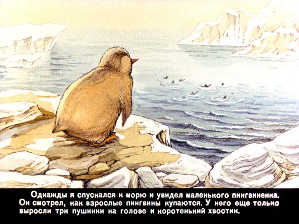 Пересказ снегирева про пингвинов в старшей группе. Г Снегирев отважный Пингвиненок. Отважный Пингвиненок Снегирев иллюстрация. Геннадия Снегирёва «про пингвинов».