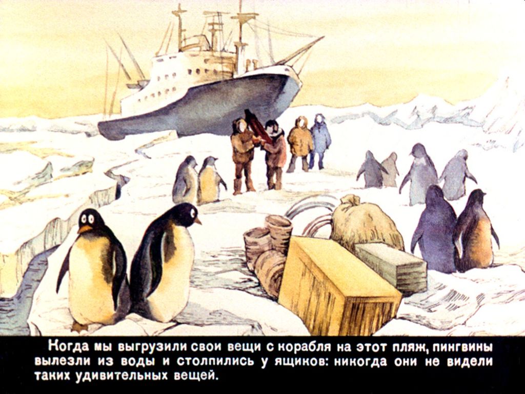 Про пингвинов рассказ читать