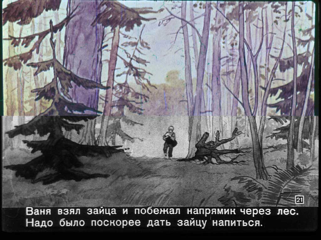 Пожар паустовского. К. Паустовский "заячьи лапы". Заяц Паустовский. Заячьи лапки Паустовский. Заячьи лапы диафильм.